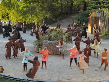 Фестиваль викингов в Дании